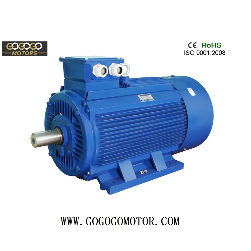 Electric Motor View 1