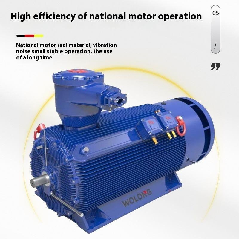 Cost Effective Yb3 High Voltage Three Phase Asynchronous Motor