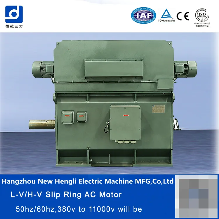 AC Induction Motor 2