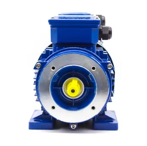Three Phase Variable Frequency Drive Electric Motor with Speed Control Converter Inverter