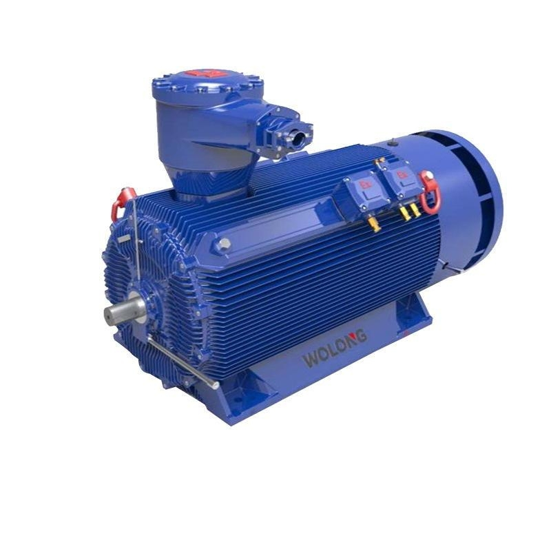 Cost Effective Yb3 High Voltage Three Phase Asynchronous Motor