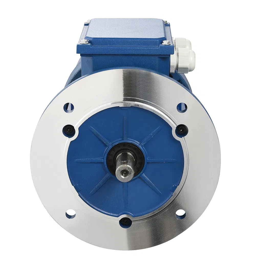 Variable Frequency Vf Adjustable-Speed Speed Regulation Three Phase Brake AC Electric/Electrical Motors