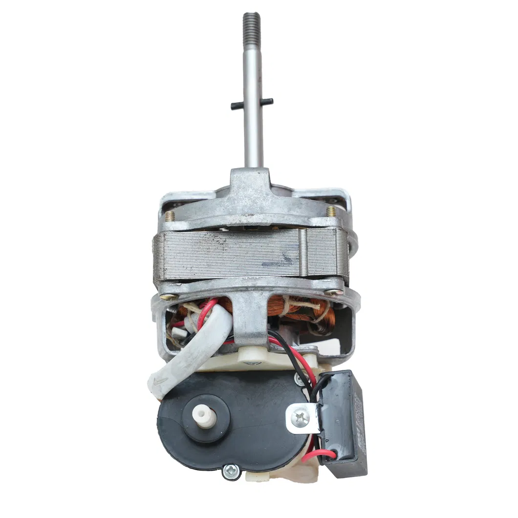 Fan Motor 6