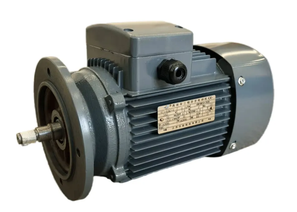 Gear Reducer Motor