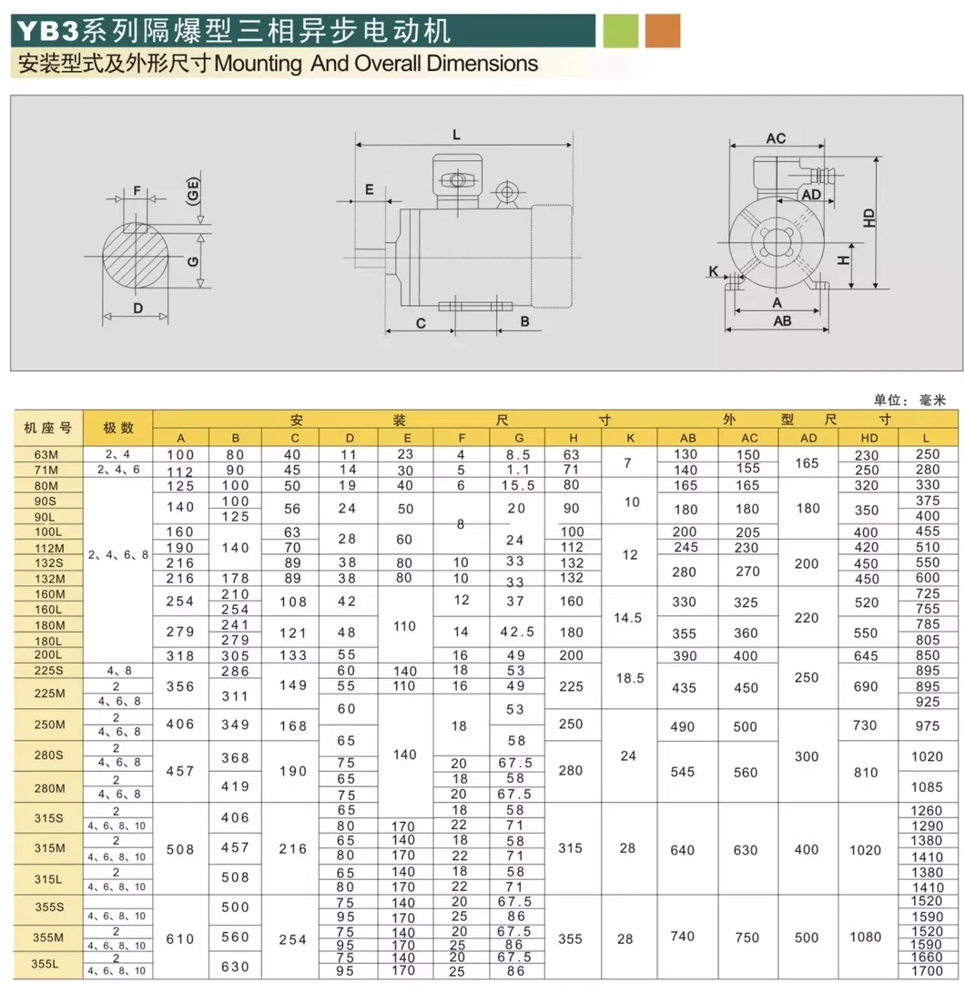 Stator and Rotor