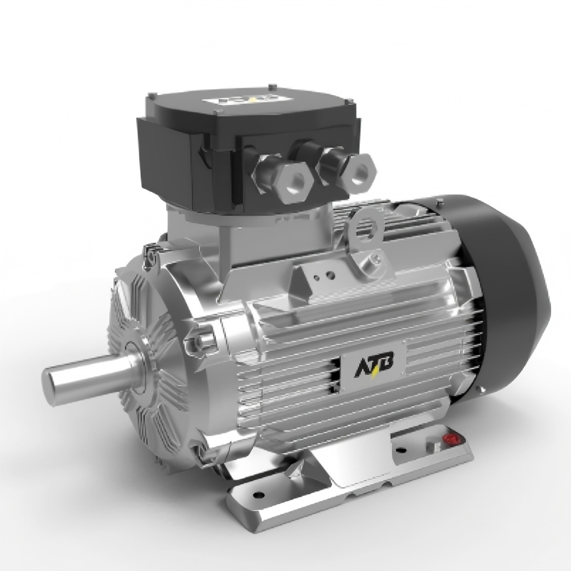 Permanent Magnet Synchronous Motor, Wepm Series Variable Speed Drive Motor for Machinery