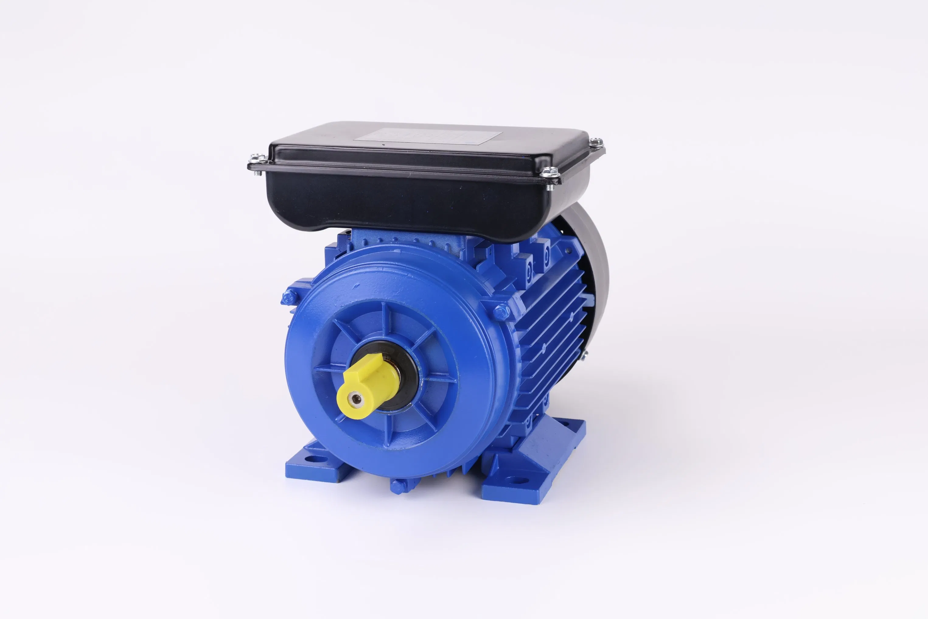 Two Capacitors Single Phase AC Induction Electric Motor