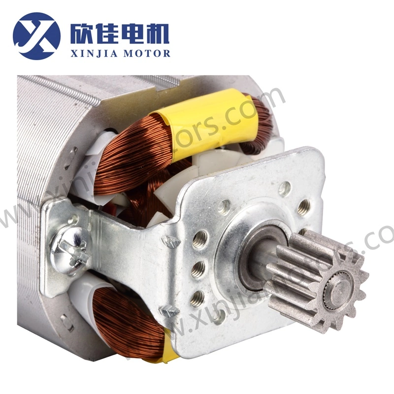 Electric Motor AC Electrical Motor/Engine DC Motor Single Phase 5420 with Pinion for Meat Grinder