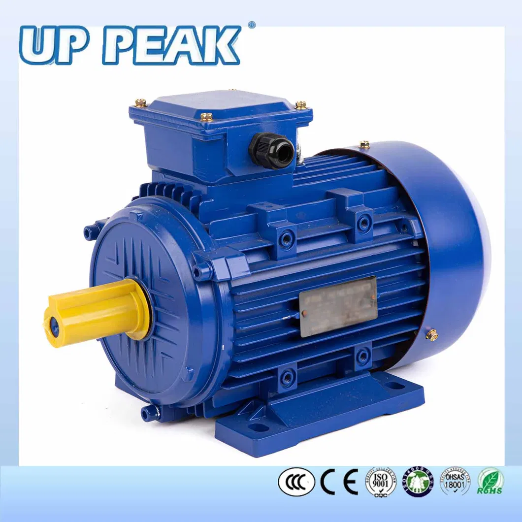 Electric Motor Photo 2