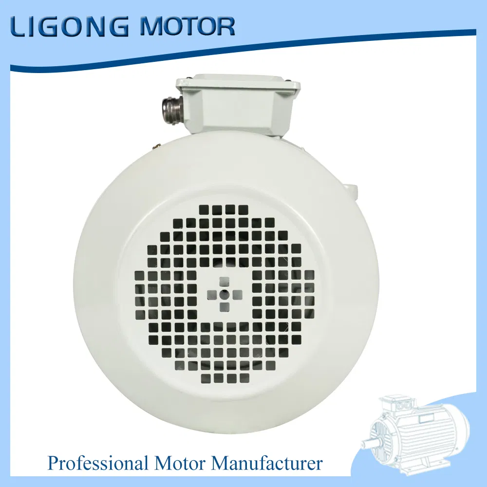 Ye5-315s-6 75kw 995rpm Ie5 Tefc Industrial Electric Motor Drives Factory Exhaust Fans