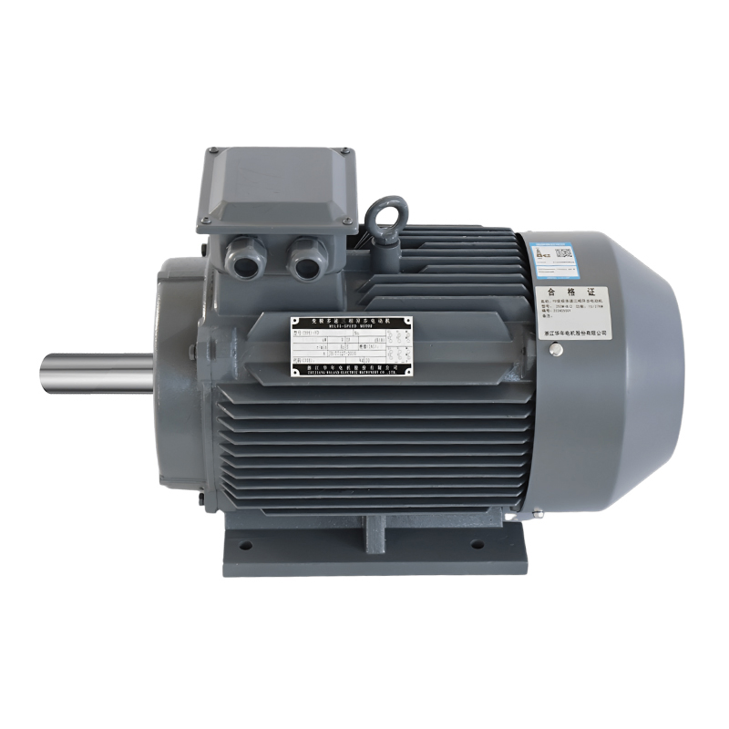 Variable Pole Multi-Speed Three-Phase Asynchronous Induction Electric Motor AC Motor 220V