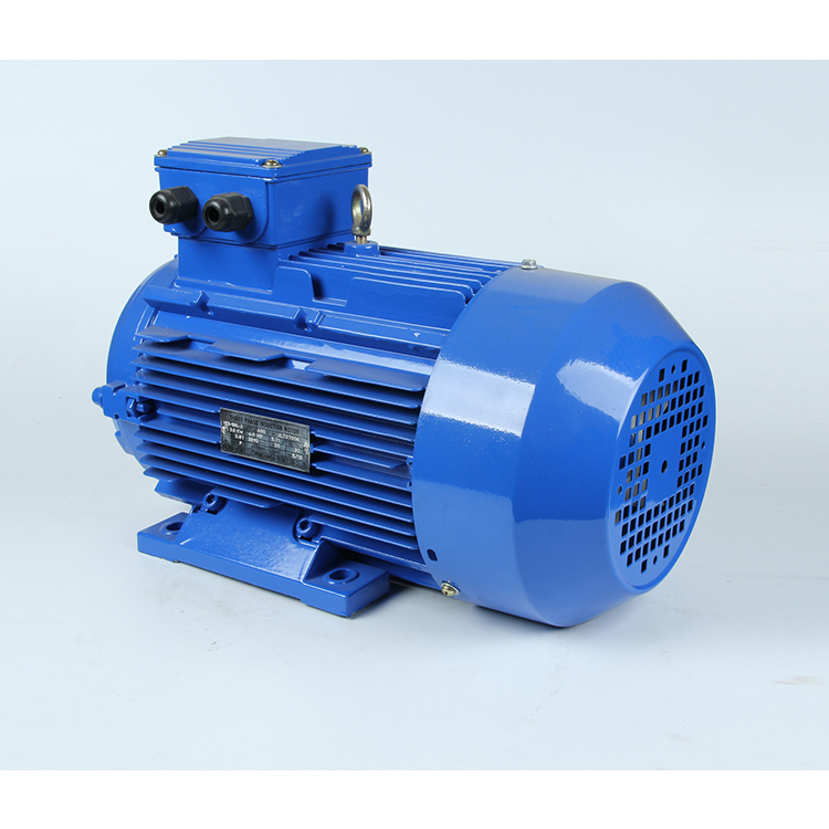 Three 3 Phase 15kw 20HP 160b5 High Power Ie2 Ie3 AC Asynchronous IEC Electrical Motor