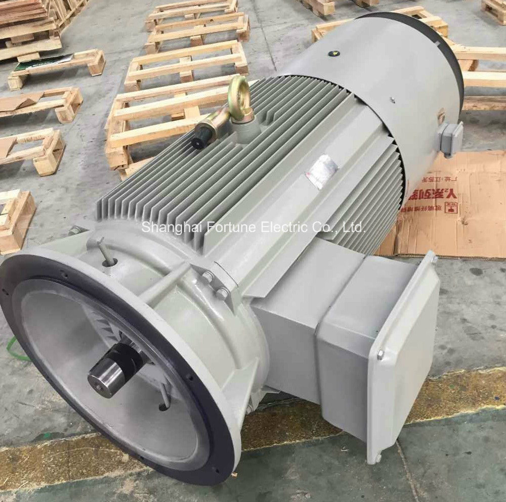 Yvf2 Y2vp Yjp Ysp Variable Frequency Speed VFD Converter Duty AC Motor