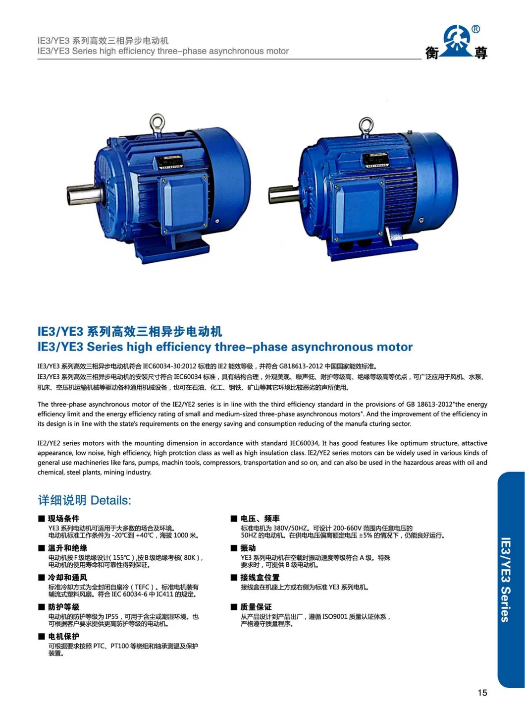 YE3 200L-4 Electric Motor