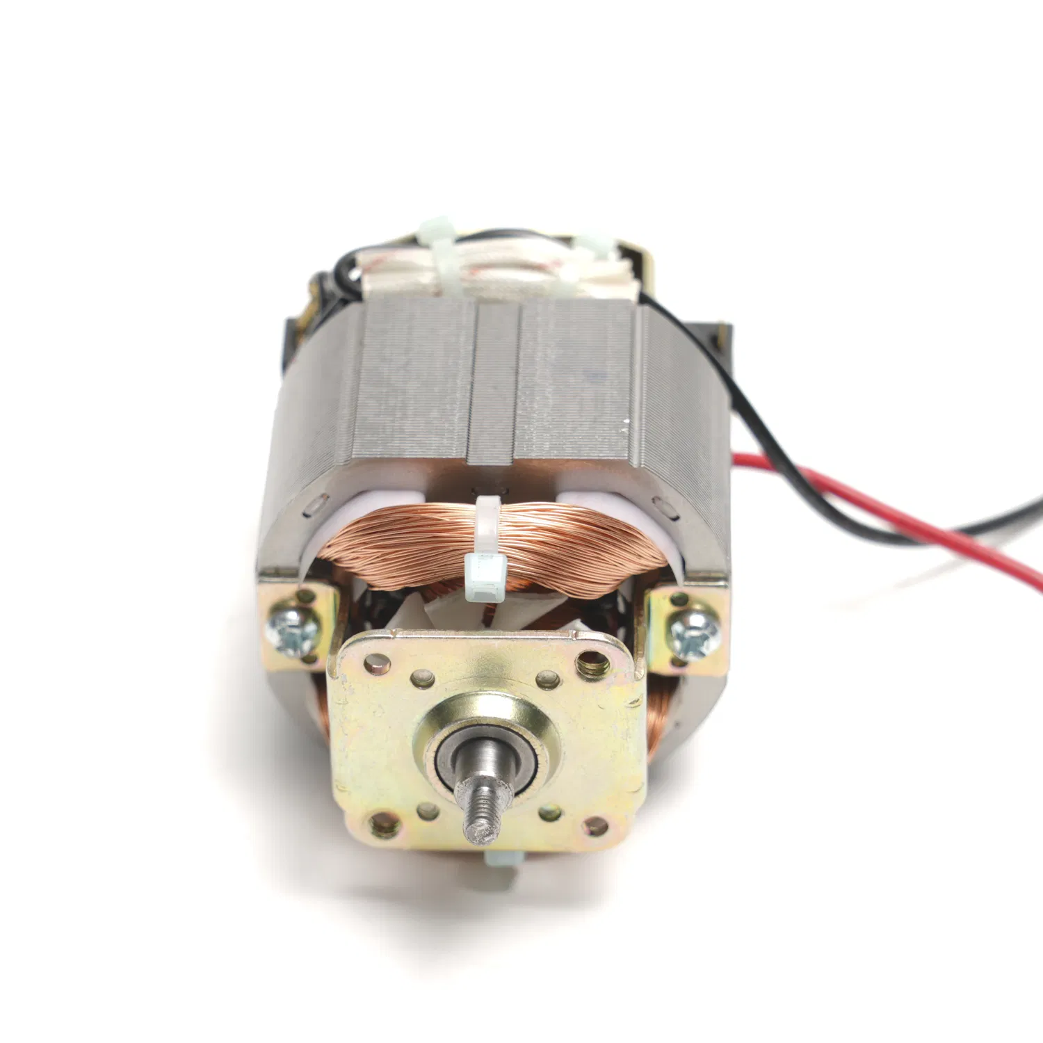 Motor Details 4