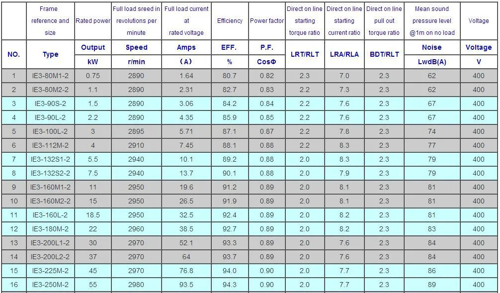 Motor Technical Data
