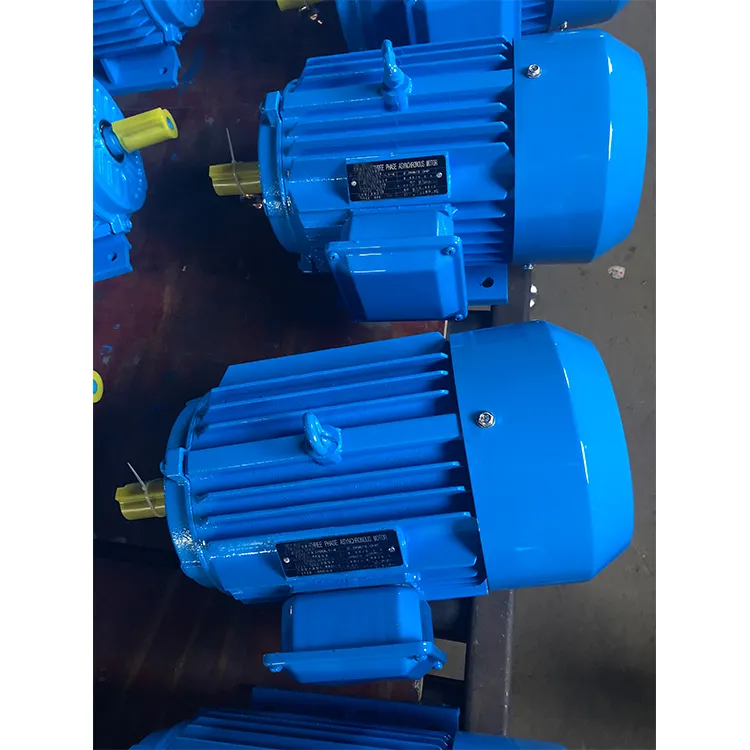 Induction Motor View 1