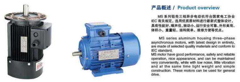 Motor Specifications