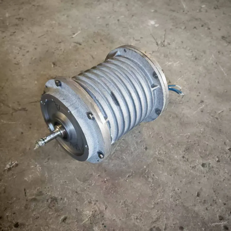 Electric Roller Motor