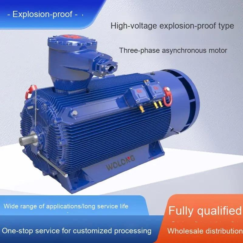 Cost Effective Yb3 High Voltage Three Phase Asynchronous Motor