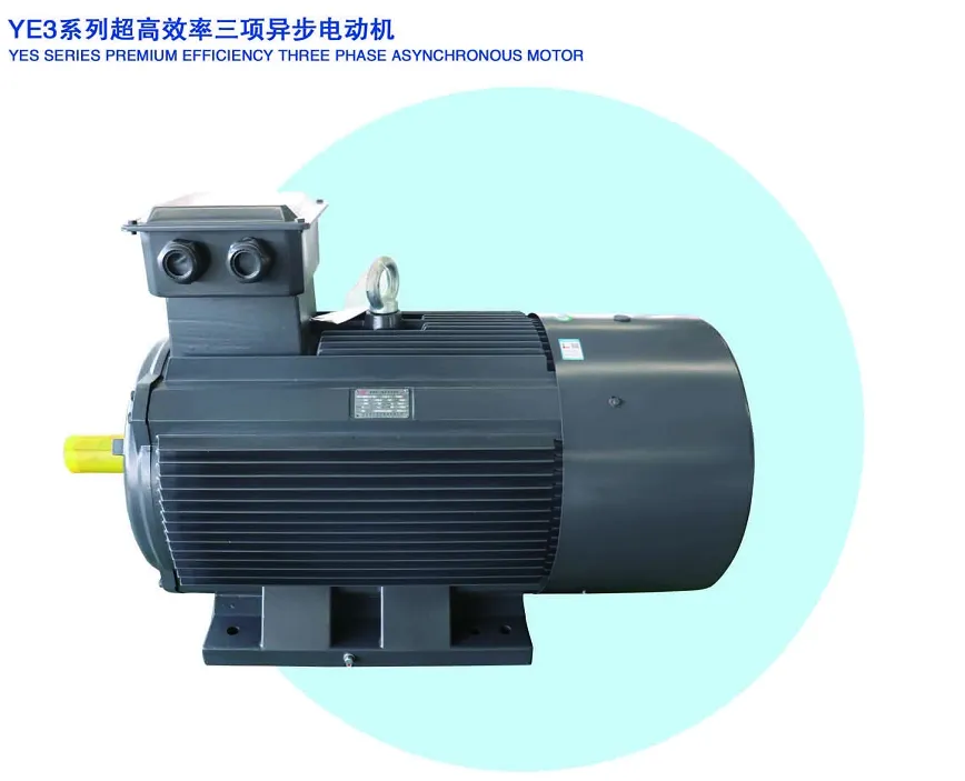 YE3 Motor Details