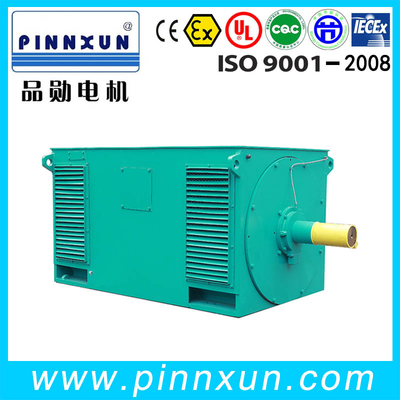 Asynchronous Three Phase Electric High Voltage Motor for Cement Plant