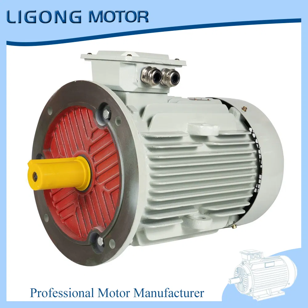 Ye5-315s-6 75kw 995rpm Ie5 Tefc Industrial Electric Motor Drives Factory Exhaust Fans