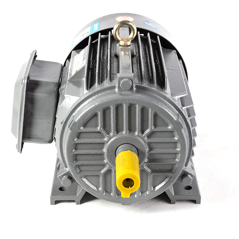 Durable 40HP Power Three Phase Asynchronous Electric Motor for Heavy-Duty Applications AC Motor / DC Motor