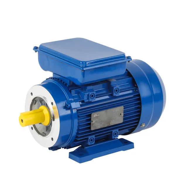 Induction Motor 2