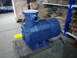Explosion Proof Motor