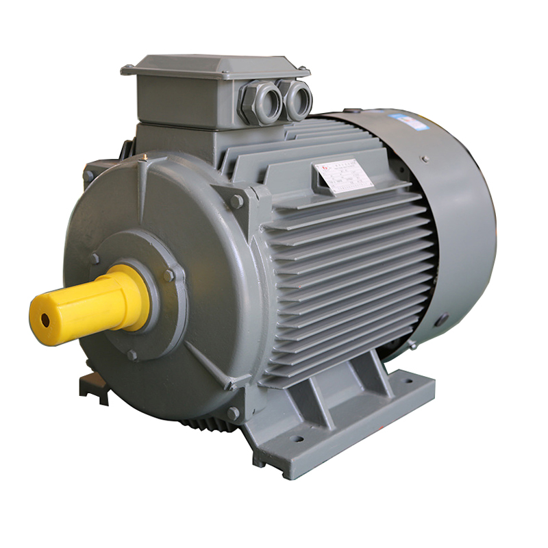 Ie3 High Efficiency 3 Phase Induction AC Electric Motor Ye3-315L1-4-160kw