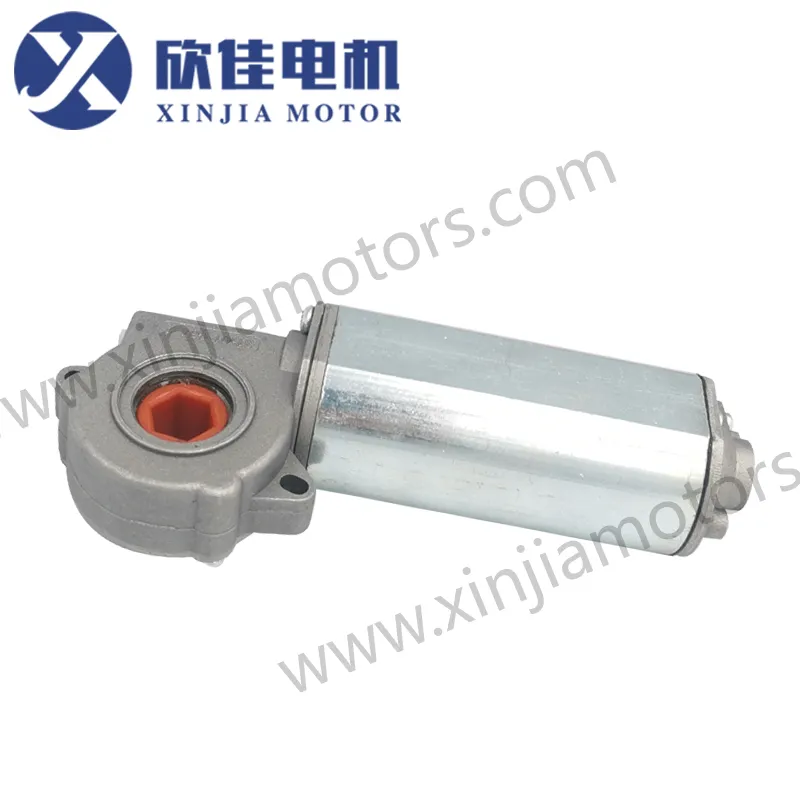 DC Gear Motor Detail 2