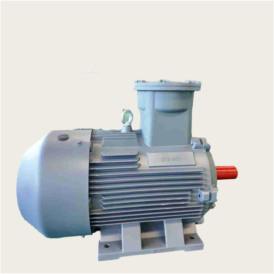 50Hz Explosion Proof Pump Motor Three Phase Asynchronous AC Induction Electric Motor