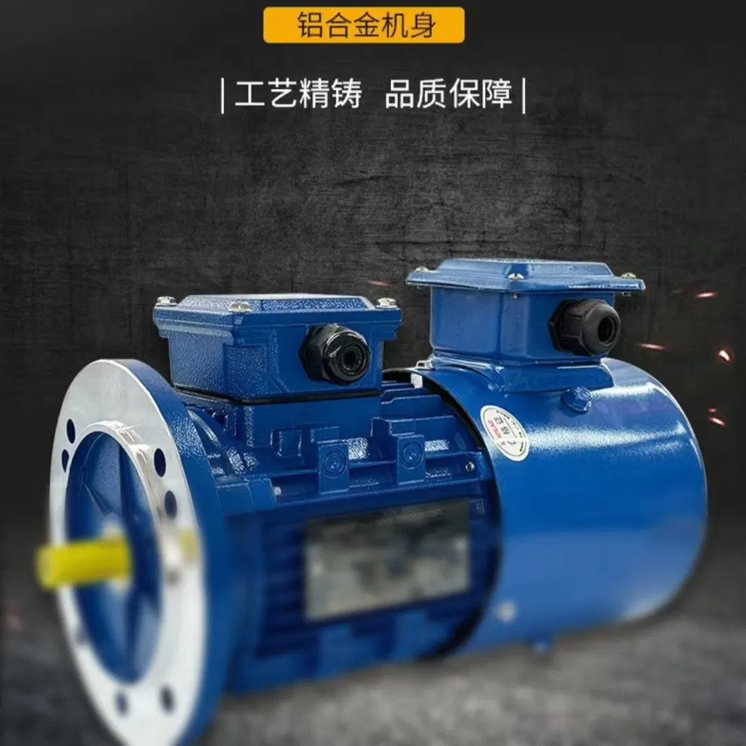 Ybbp Series Electric Motor for Heavy-Duty Water Pump Mechanisms