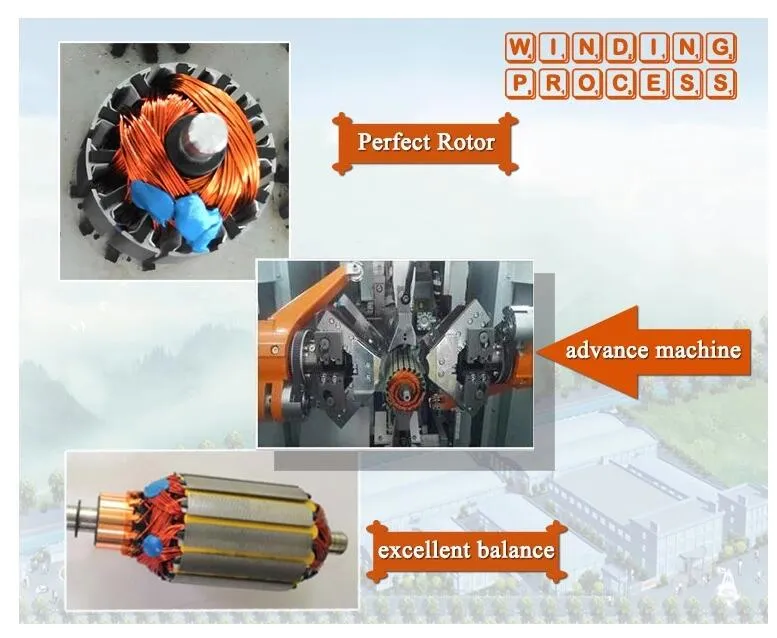 Worm Gear Reducer Motor Detail