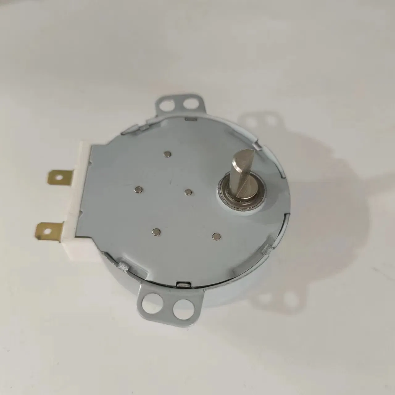 Professional Energy-Saving Dish Washer/Clothes Washer/Electric Heater/Valve Electrical AC Synchronous Motor 49tyj