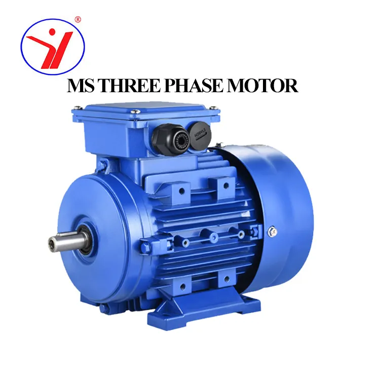 MS Series Electric Motor
