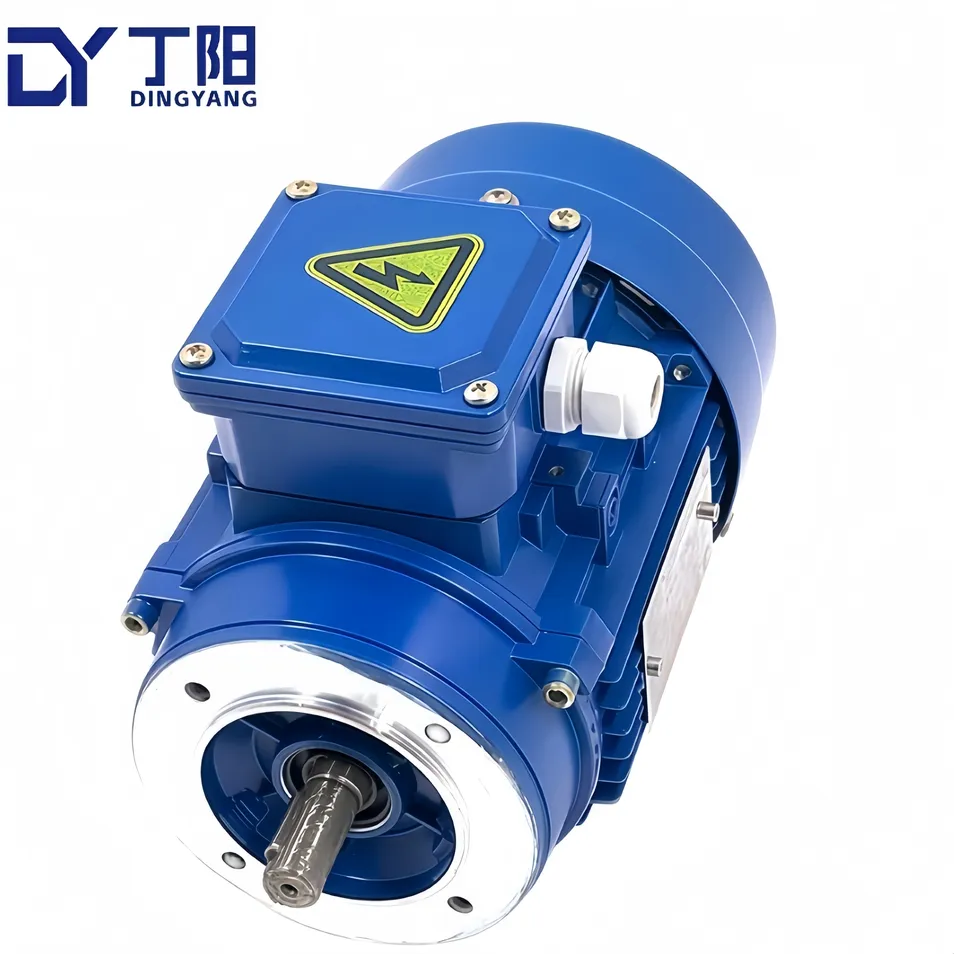 Motor Detail 1