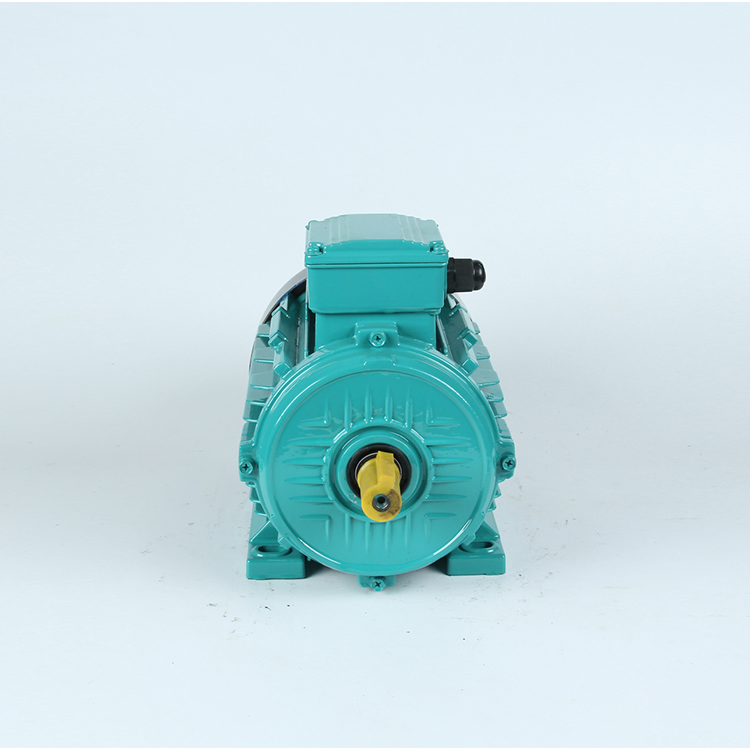 220-380-440V 2pole 4pole1HP 2HP 3HP 4HP 15HP GOST Anp Copper Wire Electrical Yc Yl Y Y2 Ye2 Y3 Ye3 Asynchronous Three Single Phase Induction AC Electric Motor