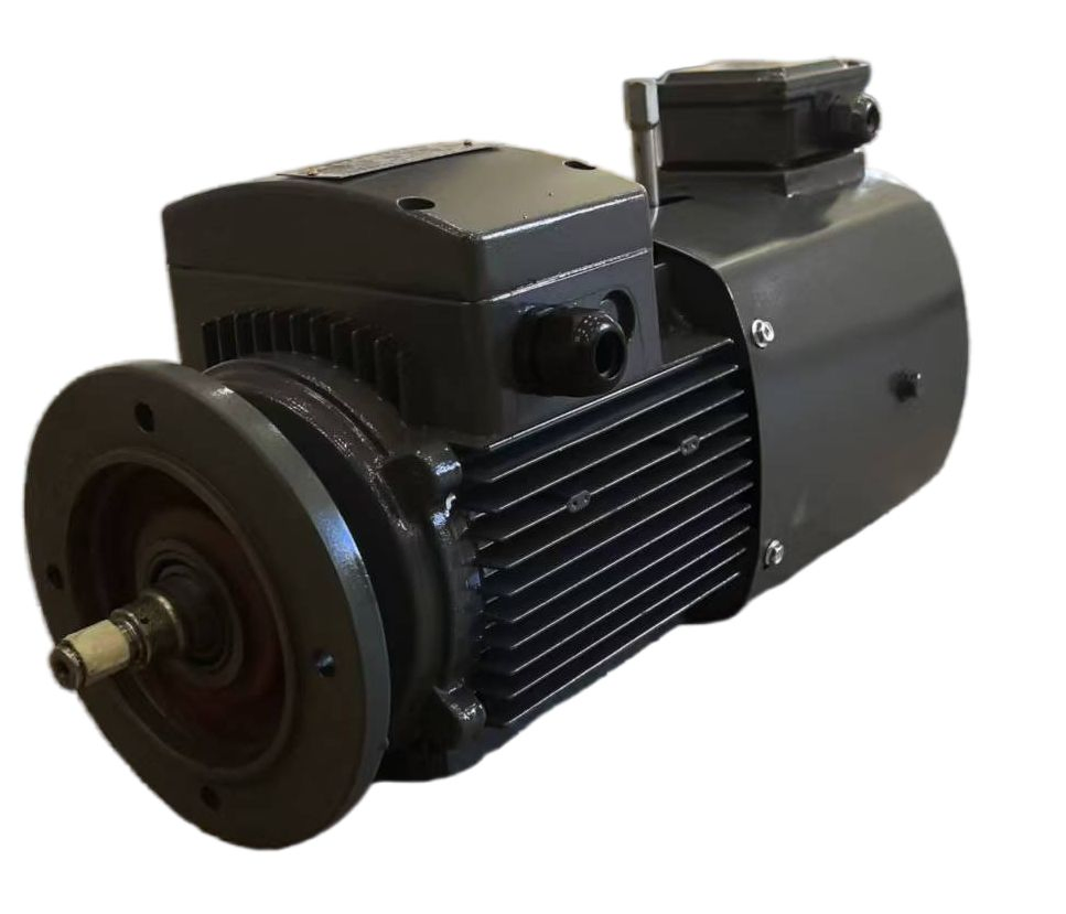 Compact 0.55kw Gear Reducer Motor for Efficient Power Transmission