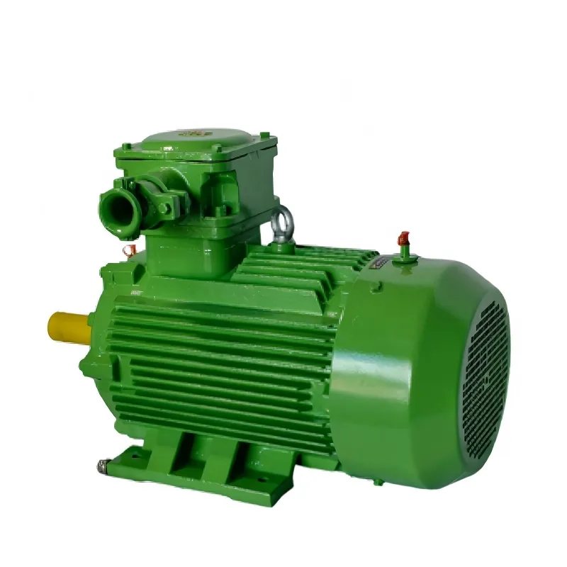 Ybx5 Series Flame Proof Induction Motor