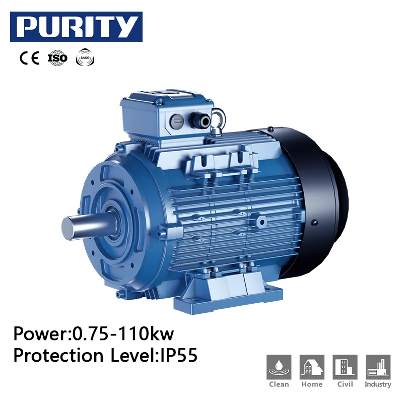 Motor Detail