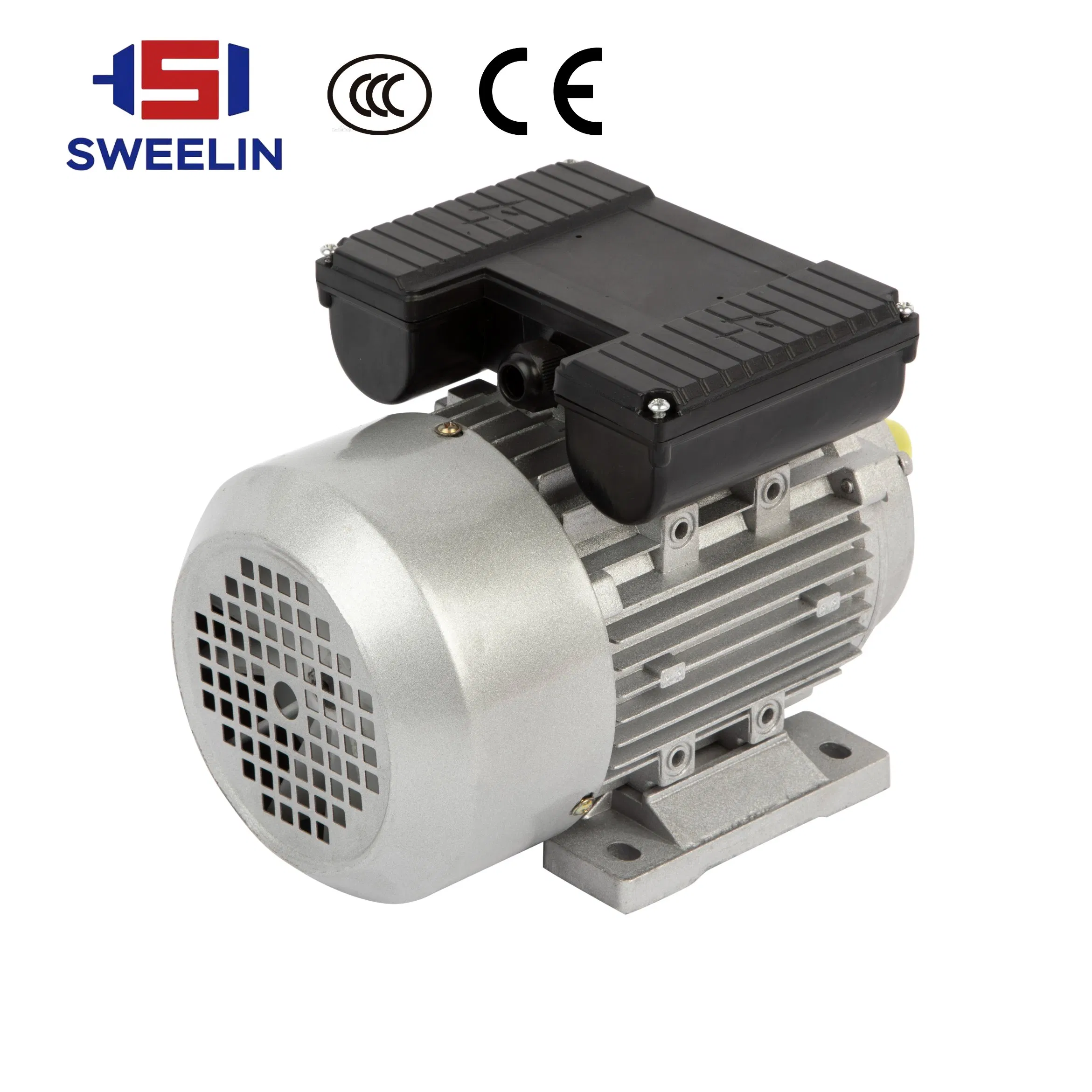 AC Induction Electrical/Electric Motor 3 Phase Motor with 3kw 4kw 5.5kw 7.5kw