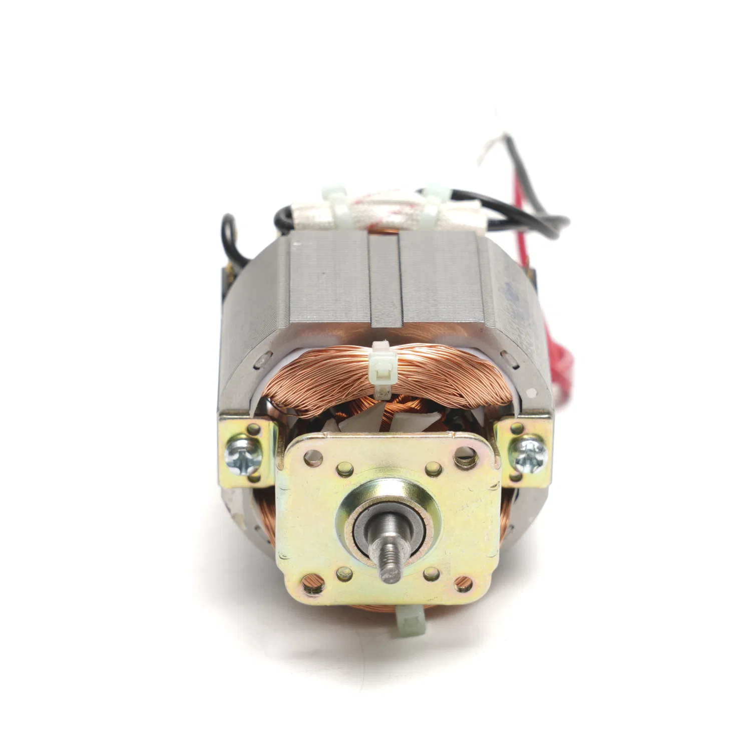 Motor Details 1