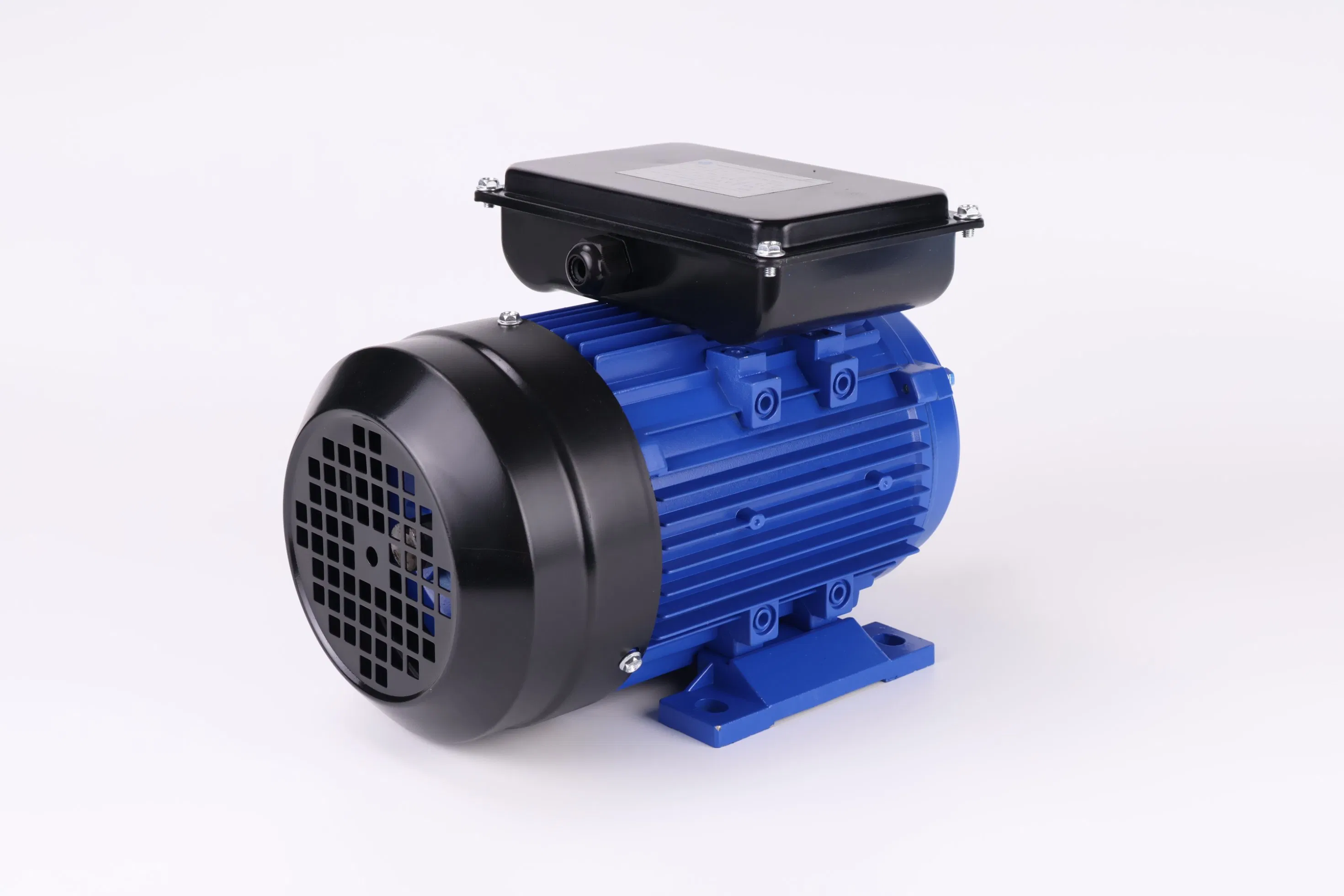 Two Capacitors Single Phase AC Induction Electric Motor