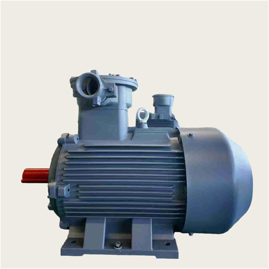 50Hz Explosion Proof Pump Motor Three Phase Asynchronous AC Induction Electric Motor