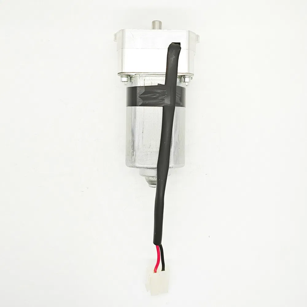 High Quality Window 3.0 N. M Torque Lift Regulator Lwzd111A DC Electric Motor