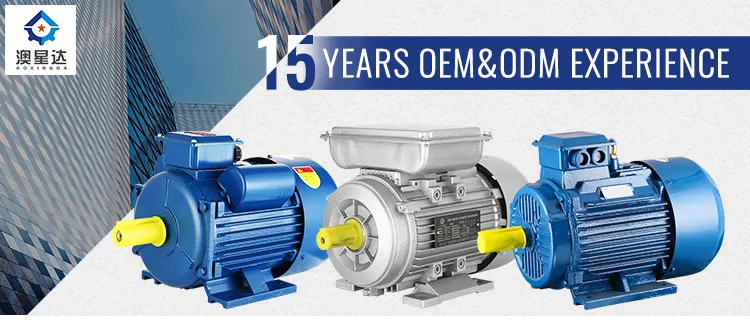 Robust Single-Phase Hydraulic Motor