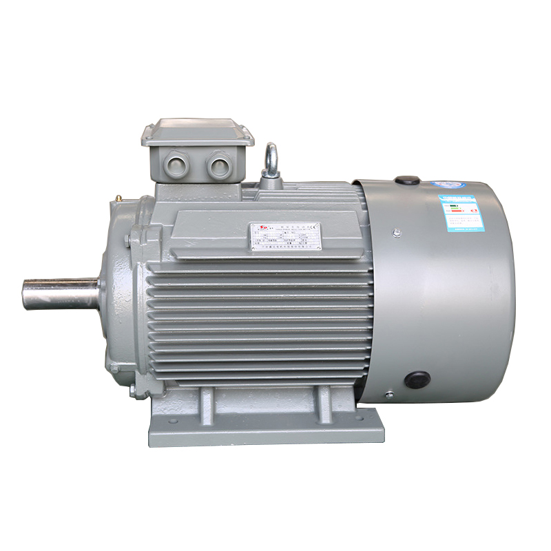 Ie3 High Efficiency 3 Phase Induction AC Electric Motor Ye3-315L1-4-160kw