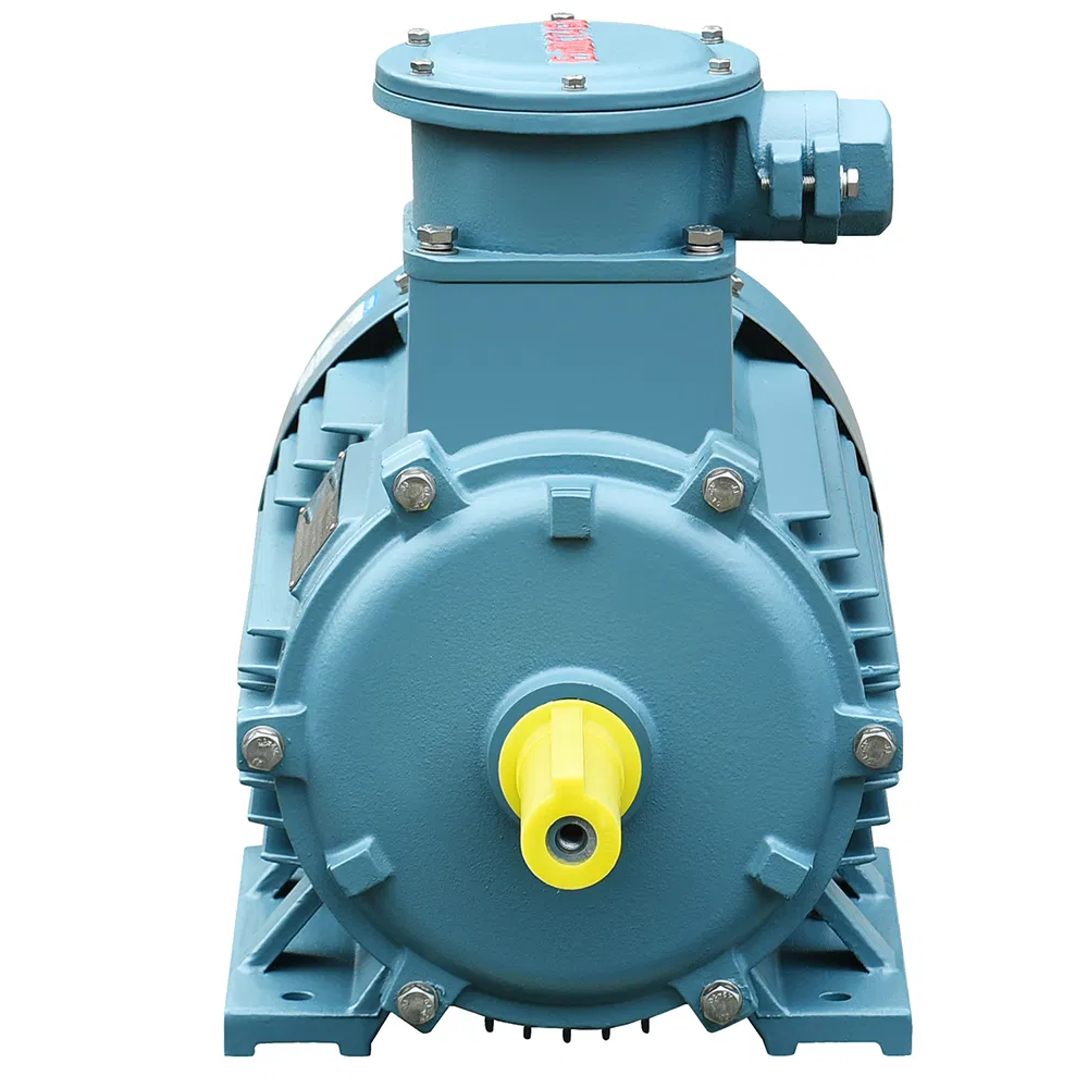 Alonmax Certified Flameproof Dustproof AC Explosion Proof Electric/Electrical Motors with PTC Space Heater